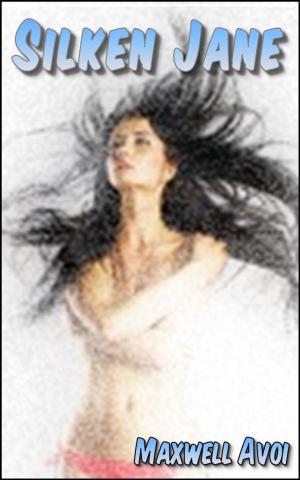 Cover of the book Silken Jane by Maxwell Avoi
