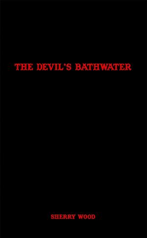 Cover of The Devils Bathwater by Sherry Wood, Sherry Wood