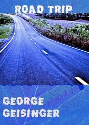 Cover of the book Road Trip by George Geisinger
