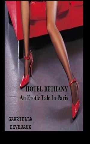 Cover of the book Hotel Bethany-An Erotic Tale In Paris by Fencer Mews