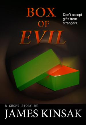 Cover of the book Box of Evil by Chelsea Graydon