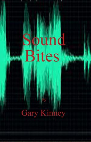 Book cover of Sound Bites