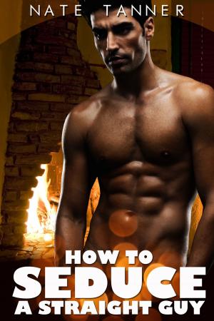 Book cover of How to Seduce a Straight Guy