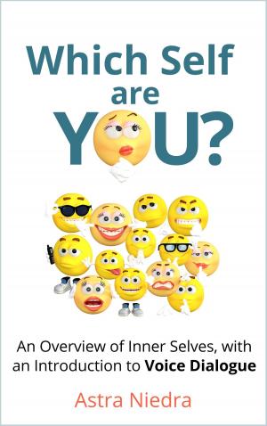 Cover of the book Which Self Are You? by Sullins Stuart, M.A.