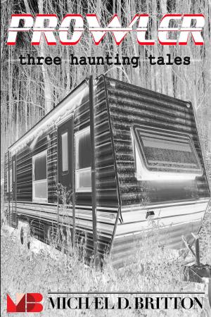 Cover of the book Prowler: Three Haunting Tales by Michael D. Britton