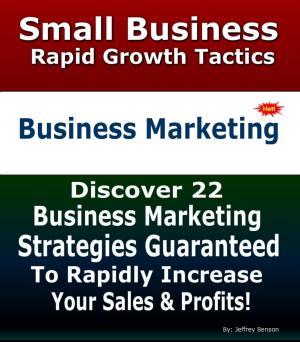 Book cover of Business Marketing Strategies | Rapid Business And Marketing Growth Strategies