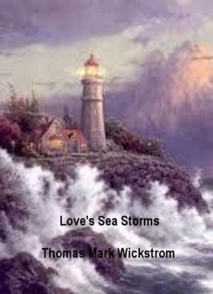 Book cover of Love's Sea Storms
