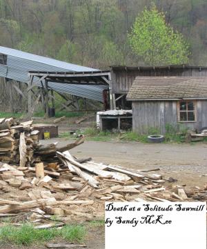 Cover of the book Death at a Solitude Sawmill by Saundra McKee