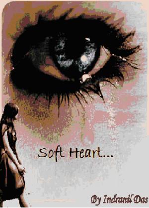 Book cover of soft heart
