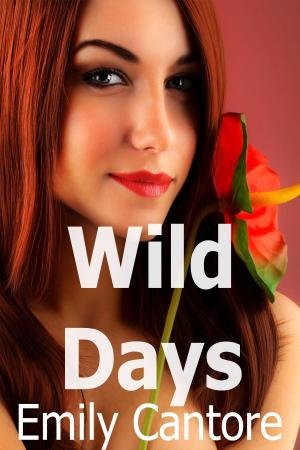 Book cover of Wild Days