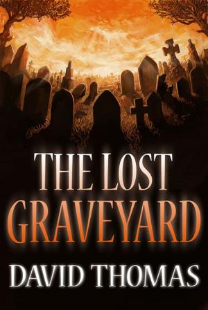 Cover of the book The Lost Graveyard. by Gloria Piper