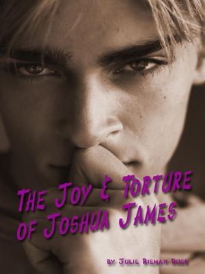 Cover of the book The Joy & Torture of Joshua James by Lyn Miller LaCoursiere
