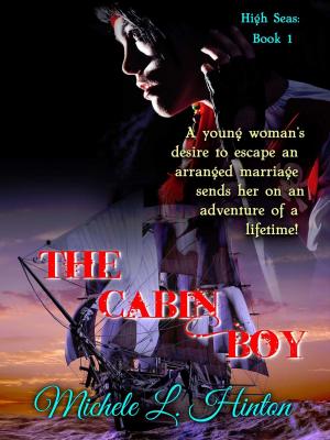 Book cover of High Seas: The Cabin Boy