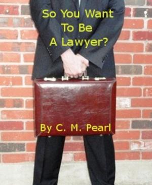 Cover of the book So You Want To Be A Lawyer? by RENE CASTEX