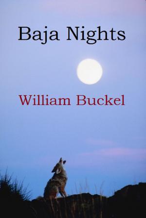 Book cover of Baja Nights