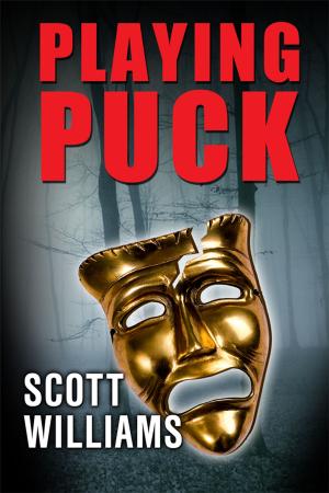 Cover of the book Playing Puck by Steven E. Wedel