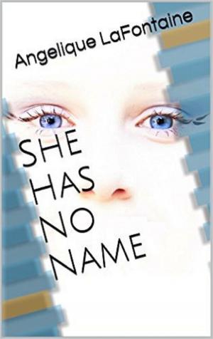 Book cover of She Has No Name