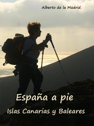 Book cover of España a pie. Islas Canarias y Baleares