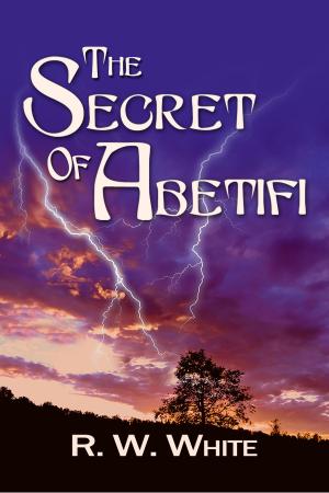 Book cover of The Secret of Abetifi