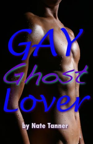 bigCover of the book Gay Ghost Lover by 