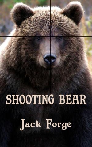 Book cover of Shooting Bear