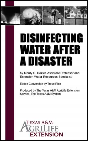 Book cover of Disinfecting Water After a Disaster