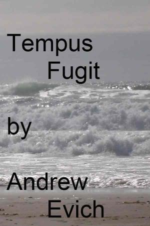 Cover of the book Tempus Fugit by Evelina DOS SANTOS