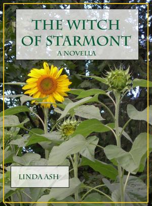 Book cover of The Witch of Starmont