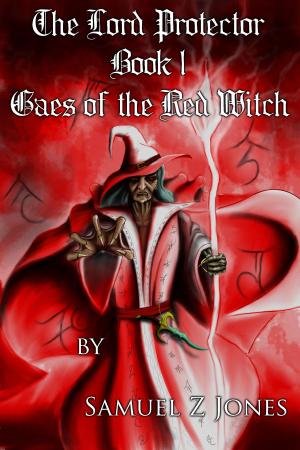 Book cover of The Lord Protector Book I: Gaes of the Red Witch