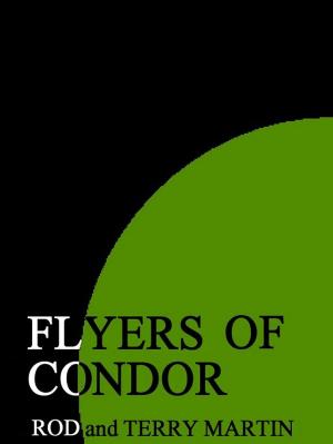 Cover of the book Flyers of Condor by Leif Baumann