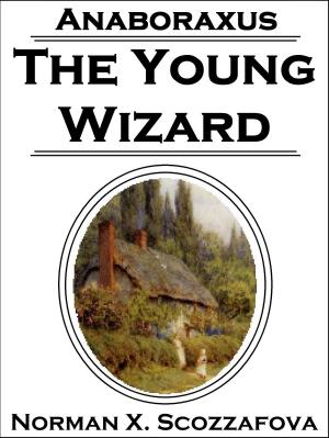 Cover of the book Anaboraxus: the Young Wizard by Rod Martin