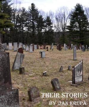 Cover of the book Their Stories: Chapters 1 thru 10 by Sherrilyn Polf