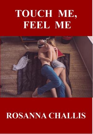 Cover of the book Touch Me, Feel Me by Damara Blackthorne
