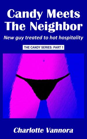Cover of the book Candy Meets the Neighbor by Jamie Agee