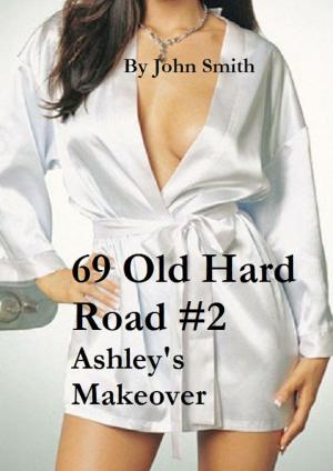 Book cover of 69 Old Hard Road #2- Ashley"s Makeover