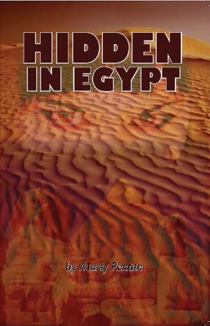 Cover of the book Hidden In Egypt by Sandra Baublitz