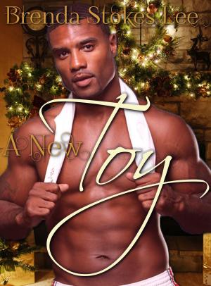Cover of the book A New Toy by Tess Mackenzie