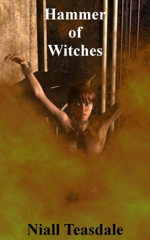 Book cover of Hammer of Witches
