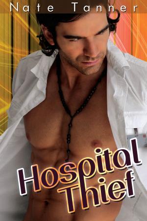 Cover of the book Hospital Thief by Nate Tanner