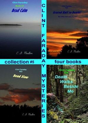 bigCover of the book Clint Faraday Mysteries Collection 5 by 