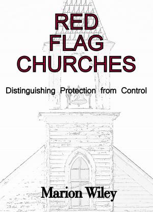 Cover of the book Red Flag Churches: Distinguishing Protection from Control by Paul McFedries