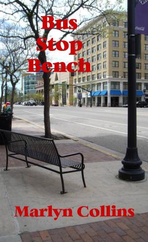 bigCover of the book Bus Stop Bench by 
