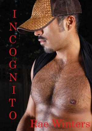Book cover of Incognito