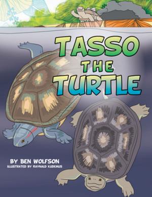 Cover of the book Tasso the Turtle by Festus Ogunbitan