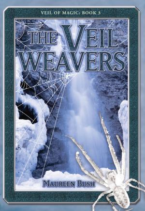 Cover of The Veil Weavers: Veil of Magic Book 3