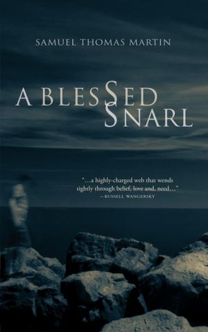 Cover of the book A Blessed Snarl by Susan Stafford