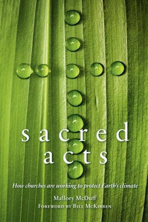 Cover of the book Sacred Acts: How Churches are Working to Protect Earth's Climate by Richard Heinberg
