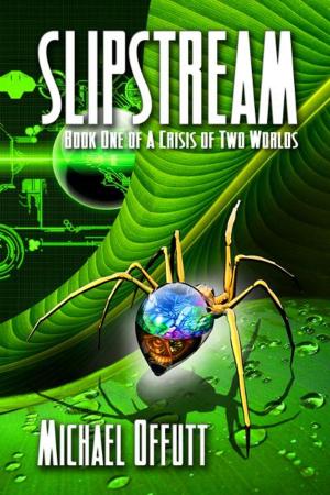 Cover of the book Slipstream by Toni V. Sweeney