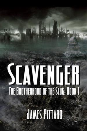 Cover of the book Scavenger by Max Ibach