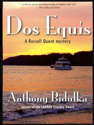 Cover of the book Dos Equis by Dan Yashinsky